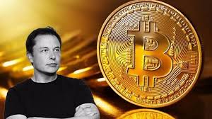 However, his mother, maye, who joined him in a guest appearance for mother's day, did say she hoped that his gift. Elon Musk Bitcoin Trading Chinas Crypto Currency