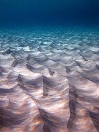 Sand Waves On The Ocean Floor Beautiful Nature Nature Underwater