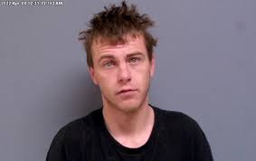 Felon accused of possessing pistol and attacking two officers