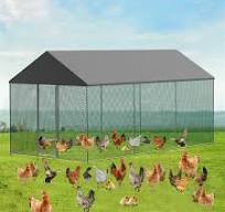 Las mejores ofertas en Casas de aves de corral patio trasero ...