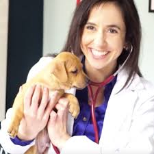 Veterinarian Approved Vegan Dog Food in Dubai