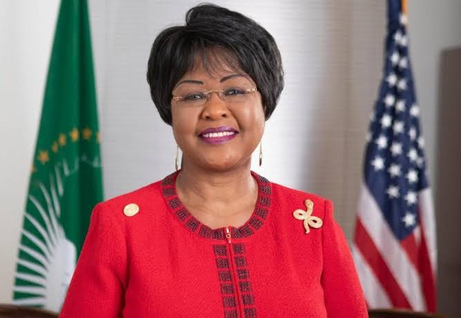 Supporters Ramp up Pressure to Reinstate Ambassador Chihombori-Quao – The  Tennessee Tribune
