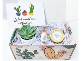 No matter who you are looking to buy a present for you'll find fabulous and unique gift ideas and inspiration at bunnings today! Appropriate Farewell Gifts For The Female Colleague Gift Guide