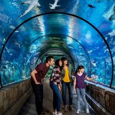 Pin On 2019 Vacation Ideas