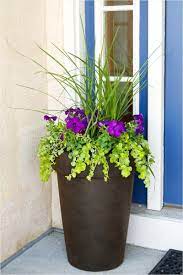 Therefore, there are various front door ideas that you can do for the front door of your house, one of which is by placing a flower pot. 44 Inspiring Outdoor Potted Plant Entryway Ideas That Will Make Your Home Stunning Decorequired Front Porch Flower Pots Potted Plants Outdoor Porch Flowers
