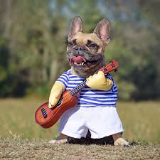 This is spelling south carolina by nathan sheeley on vimeo, the home for high quality videos and the people who love them. Stop In For A Spell At One Of Hardeeville S Halloween Events Jasper County Chamber Of Commerce South Carolina