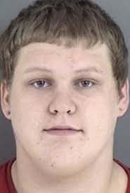 POLICE REPORTS: Animal Control takes horse with no claim