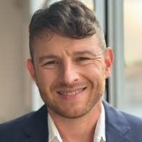 Bildergebnis für David Shapiro