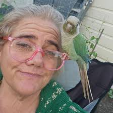 So now I wait for my Dr appointment but the report basically says they  didn't see anything. So I am guessing just more fat. I have put