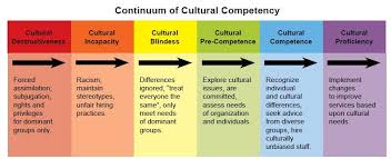 Continuum Of Cultural Compentency In 2020 Cultural Competence Health Lesson Plans Competence