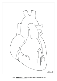 We have easy hearts for kids, and some with teddy bears, flowers and ribbons. Human Heart Coloring Pages Free Human Body Coloring Pages Kidadl