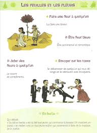 Expressions Autour Des Feuilles Et Des Fleurs Expressions Francaises Expressions Idiomatiques Expressions