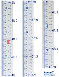 Height Comparison Compare Your Height To Celebrities