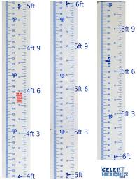 height comparison compare your height to celebrities