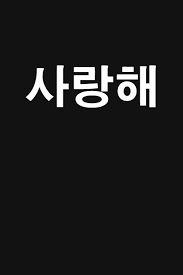 Learnt a lot of the basic grammars, vocab and phonetics. Kpop I Love You In Korean Perfect Gift For Kdrama Lovers And Kpop Fans Lightly Lined Notebook Publishing Dainty 9781077465312 Amazon Com Books
