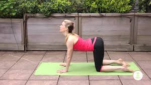 Cat/cow are yoga poses that involve rounding and arching the entire spine and it's helpful to help gently stretch and loosen up the. How To Do The Cat Cow Pose And What Are Its Benefits Chakravakasana Life N Lesson