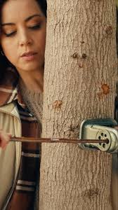 Wood Milk — Brian Friedrich