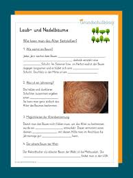 Hundertertafel pdf und hundertertafel übungen zum ausdrucken von mathefritz. Nadelbaume Laubbaume Grundschulkonig Nadelbaume Laubbaum