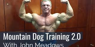 Image result for john meadows