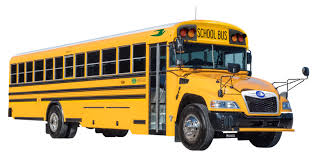 Image result for School Bus Yellow 2019 Transit