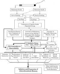 The Pathophysiology Of Cigarette Smoking And Cardiovascular