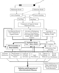 the pathophysiology of cigarette smoking and cardiovascular