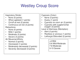 Image result for Croup Score