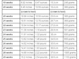 49 Exhaustive Baby Development By Week Chart