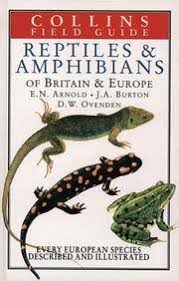 Reptiles and Amphibians of Britain & Europe by Edwin Nicholas Arnold; Chef  Arnold; Ovenden