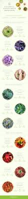 Maybe you would like to learn more about one of these? 11 Colorful Succulents To Make Your Garden Pop Proflowers