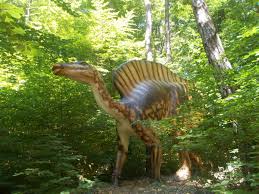 Am avut multe de văzut acolo și am de gând să mai pregătesc și alte articole în care să vă spun ce am mai vizitat. Dino Parc Din Rasnov