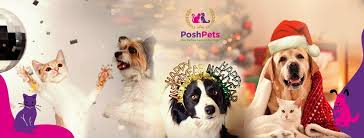 From pet shops to pet service providers, yell.com has a comprehensive list of animal specialists near you. Posh Pets Home Facebook