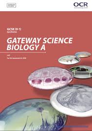 Ocr Biology A Gcse J247 Specification Exam June 2018 Onwards Http Www Ocr Org Uk Images 234594 Specificati Biology Science Biology Aqa English Language