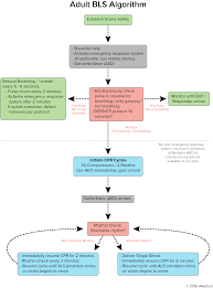 Acls, pals & bls quizzes. Acls Algorithms You Need To Know
