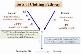 Ptt is 'partial thromboplastin time', and pt is 'prothrombin time.' both ptt and pt are tests used for measuring the time taken for the blood to clot. Partial Thromboplastin Time Activated Partial Thromboplastin Time
