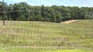 Deer shooting house design and bom. Building Our Mini Mansion In The Sky Deer Stand Man Cave Dog House All In One Must See Youtube