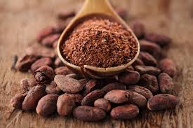 75 free images of cocoa beans. Cocoa Description History Processing Products Britannica