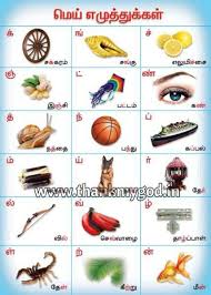 Alphabet Chart In Tamil Manufacturer In Madurai Tamil Nadu