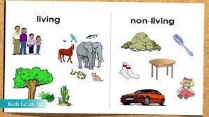 Research shows that volunteering can increase happiness, decrease [special thanks to holly homer at kids activities blog for letting me use the pictures of her april. Living And Nonliving Things Lesson For Kids New Video Dailymotion