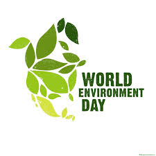 This year's theme is biodiversity, which is the range of different living ecosystems on earth, including plant and animal species. World Environment Day 2020 Theme History And Information In 2021 World Environment Day Posters Environment Day Quotes Environment Day