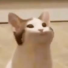 Discover and share the best gifs on tenor. Omegalul By Turtiecatt Frankerfacez