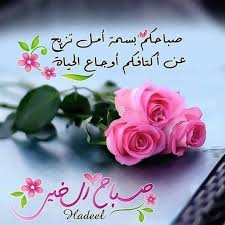 عندما لا تقتنع بكلام الآخرين يكون الصمت احتراما وعندما يتجاهلك عزيز يكون الصمت good morning images flowers beautiful morning messages good morning wallpaper