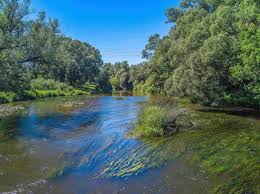 Калининградская область – 35 красивых достопримечательностей и интересных  мест, что можно посмотреть самостоятельно | Тур-Рай.Ру