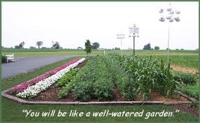 I live inland, north florida (9a). A Well Watered Garden Daily Encouragement