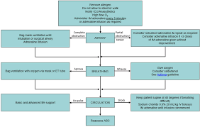 Anaphylaxis in the clinical setting of obstetric anesthesia: Clinical Practice Guidelines Anaphylaxis