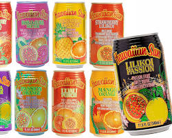 Image of Hawaiian Sun drinks