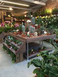 Notcutts Pembury Garden Centre D P Lifestyle Layout Customer Journey Landscape Visual Merch Garden Center Displays Garden Center Garden Nursery