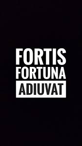 Volume Li Fortuna Fortis Adiuvat Fortune Favours The Brave Peace Prophecy Latin Quotes John Wick Tattoo Badass Quotes