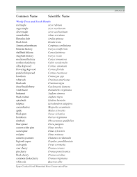 Scientific Name Google Search Names Common Names Silky Dogwood