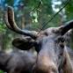 Liberal Drinking  — Gilpin County Democrats event image